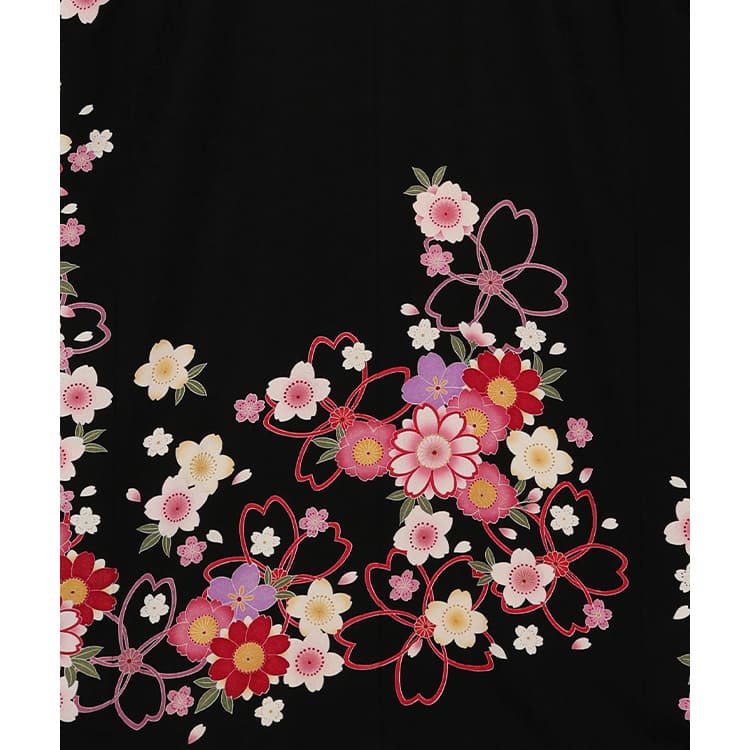黒地にいくつもの桜