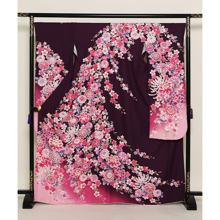 赤紫　大輪の菊や牡丹