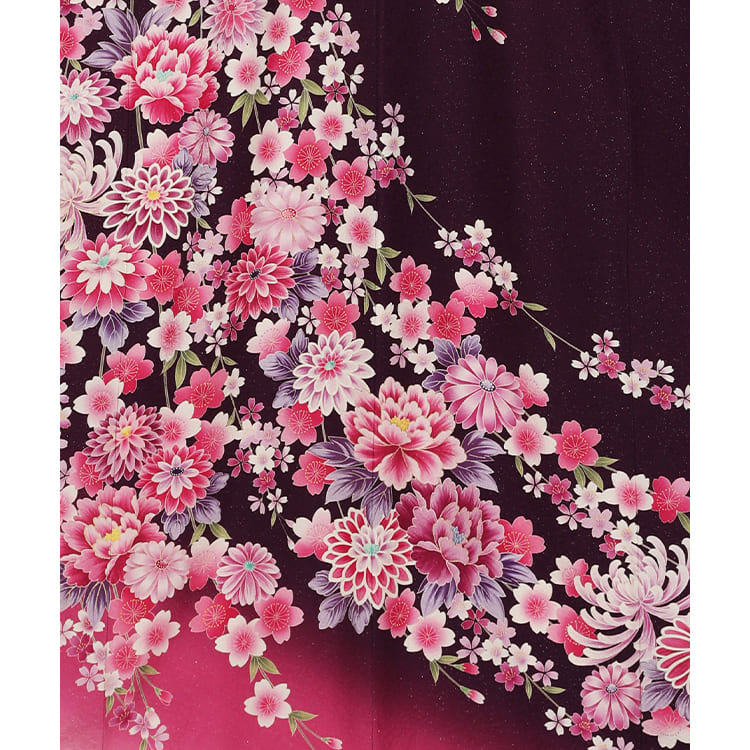 赤紫　大輪の菊や牡丹