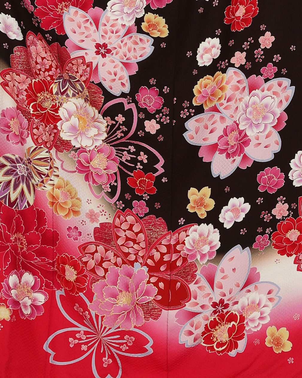赤とボルドー　桜