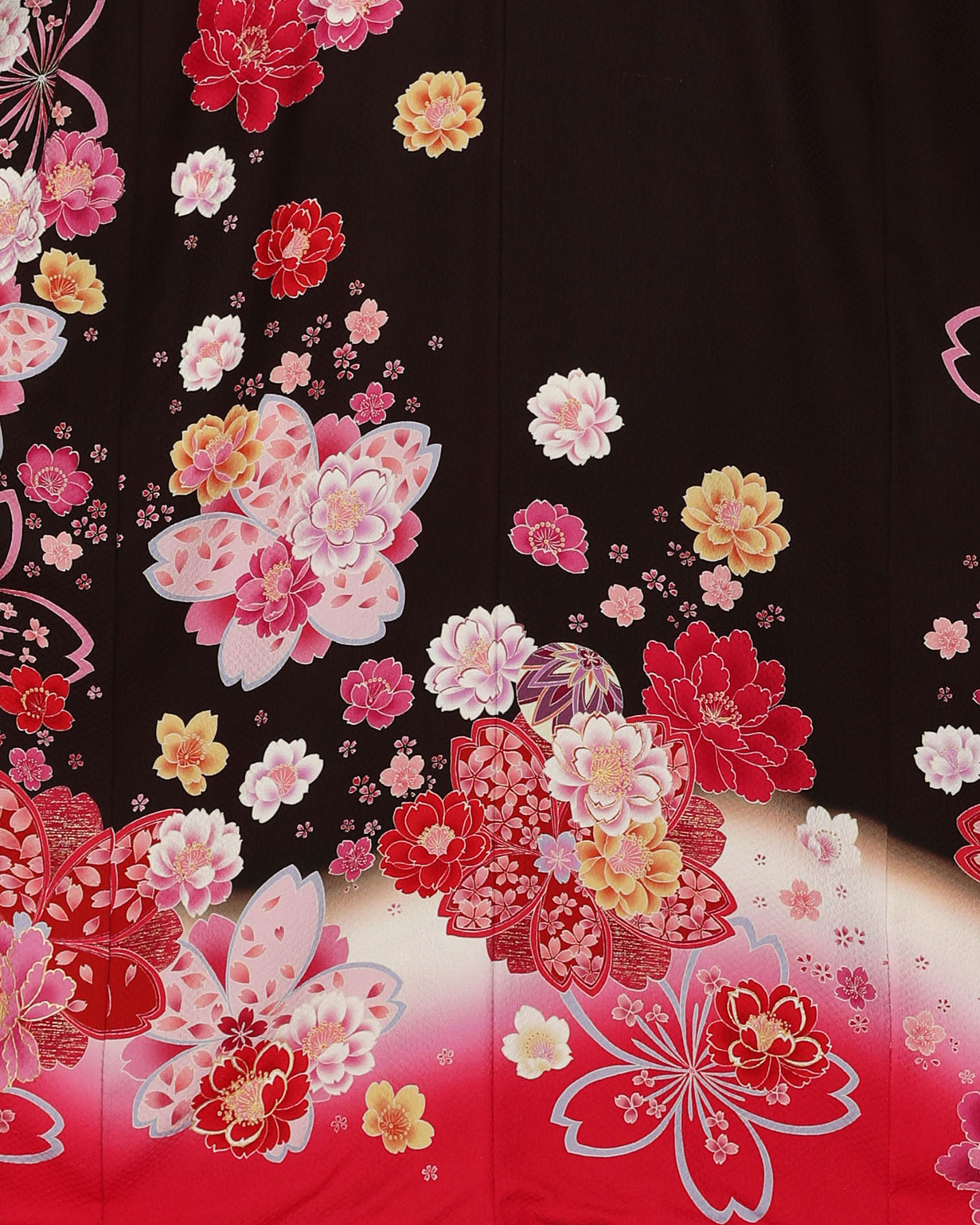 赤とボルドー　桜